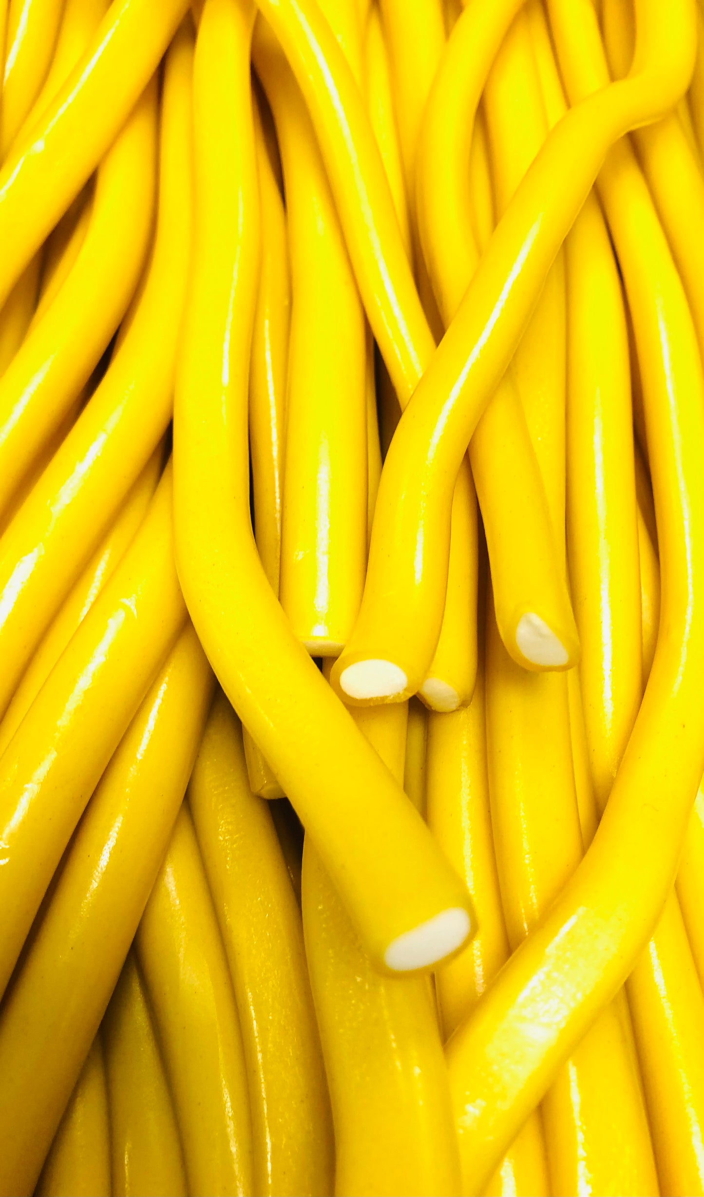 Câbles Américains Citron Lisse